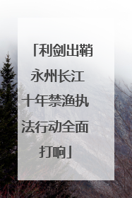 利剑出鞘 永州长江十年禁渔执法行动全面打响