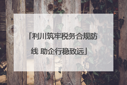 利川筑牢税务合规防线 助企行稳致远