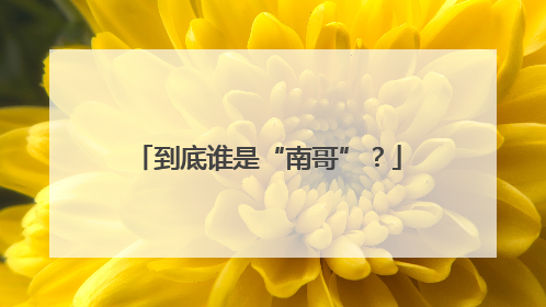 到底谁是“南哥”？