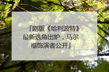 剧版《哈利波特》最新选角出炉，马尔福饰演者公开