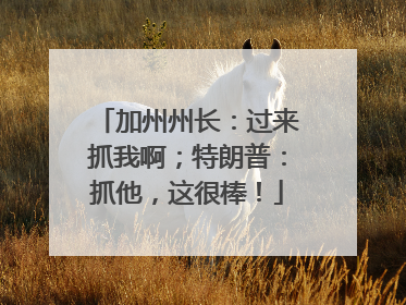 加州州长：过来抓我啊；特朗普：抓他，这很棒！