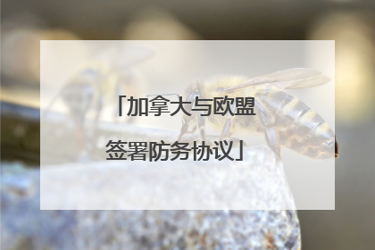 加拿大与欧盟签署防务协议