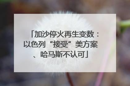 加沙停火再生变数：以色列“接受”美方案、哈马斯不认可