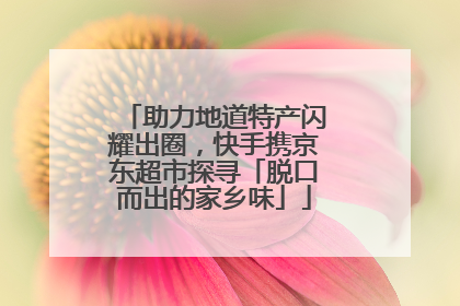 助力地道特产闪耀出圈，快手携京东超市探寻「脱口而出的家乡味」