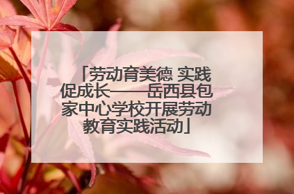 劳动育美德 实践促成长——岳西县包家中心学校开展劳动教育实践活动