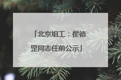 北京组工：翟德罡同志任前公示