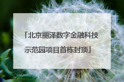 北京丽泽数字金融科技示范园项目首栋封顶