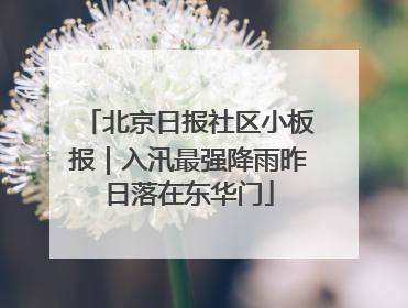 北京日报社区小板报｜入汛最强降雨昨日落在东华门