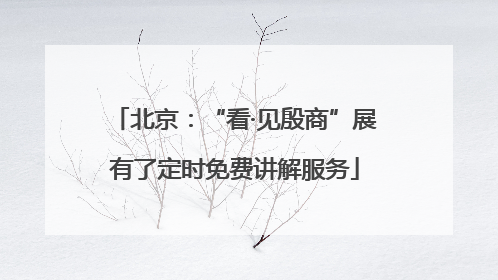 北京：“看·见殷商”展有了定时免费讲解服务