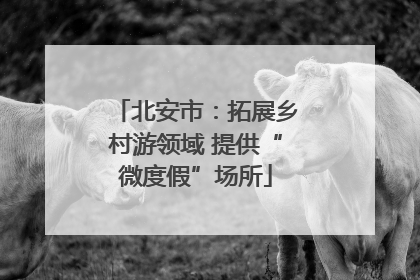 北安市：拓展乡村游领域 提供“微度假”场所