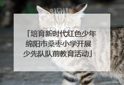 培育新时代红色少年 绵阳市桑枣小学开展少先队队前教育活动