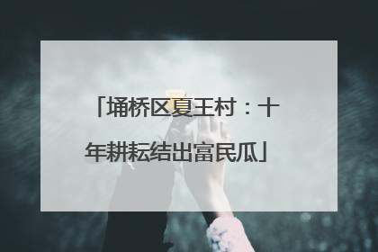 埇桥区夏王村：十年耕耘结出富民瓜