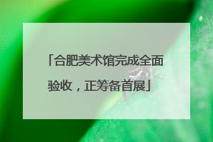 合肥美术馆完成全面验收，正筹备首展