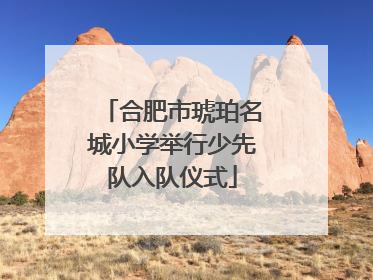 合肥市琥珀名城小学举行少先队入队仪式