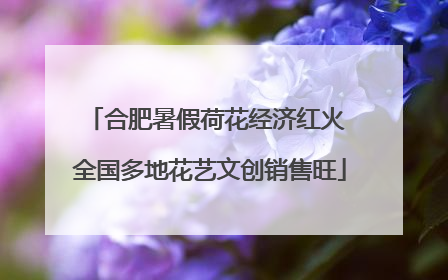 合肥暑假荷花经济红火 全国多地花艺文创销售旺
