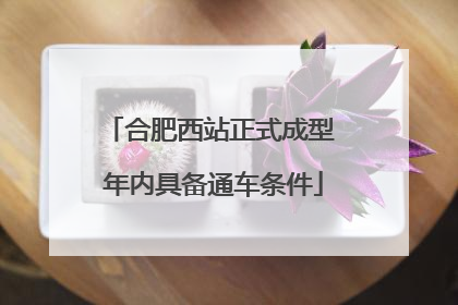 合肥西站正式成型 年内具备通车条件