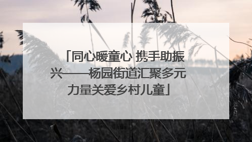 同心暖童心 携手助振兴——杨园街道汇聚多元力量关爱乡村儿童