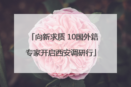向新求质 10国外籍专家开启西安调研行