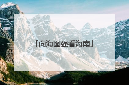 向海图强看海南