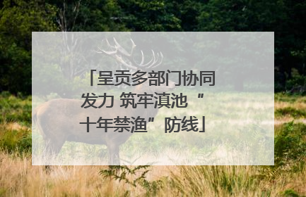 呈贡多部门协同发力 筑牢滇池“十年禁渔”防线