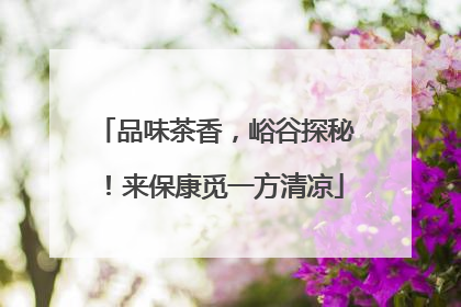 品味茶香，峪谷探秘！来保康觅一方清凉