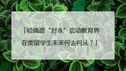哈佛遭“封杀”震动教育界 在美留学生未来何去何从？