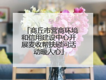 商丘市营商环境和信用建设中心开展麦收帮扶慰问活动暖人心