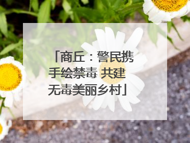 商丘：警民携手绘禁毒 共建无毒美丽乡村