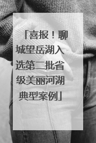 喜报！聊城望岳湖入选第二批省级美丽河湖典型案例