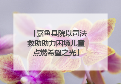 嘉鱼县院以司法救助助力困境儿童点燃希望之光