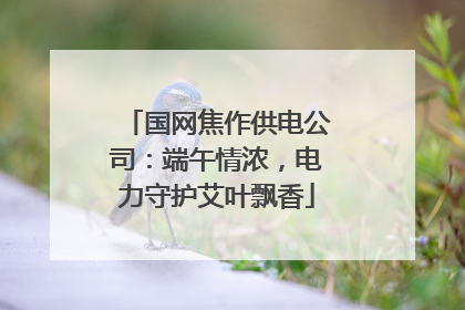 国网焦作供电公司：端午情浓，电力守护艾叶飘香
