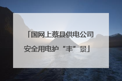 国网上蔡县供电公司安全用电护“丰”景