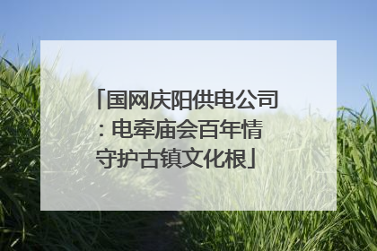 国网庆阳供电公司：电牵庙会百年情 守护古镇文化根
