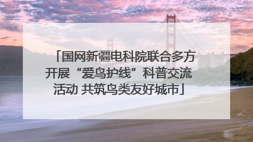 国网新疆电科院联合多方开展“爱鸟护线”科普交流活动 共筑鸟类友好城市