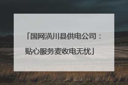 国网潢川县供电公司：贴心服务麦收电无忧