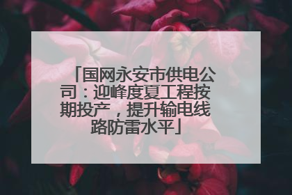 国网永安市供电公司：迎峰度夏工程按期投产，提升输电线路防雷水平