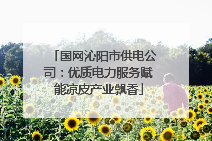 国网沁阳市供电公司：优质电力服务赋能凉皮产业飘香