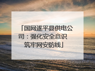 国网遂平县供电公司：强化安全意识 筑牢网安防线