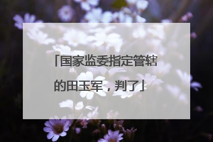 国家监委指定管辖的田玉军，判了