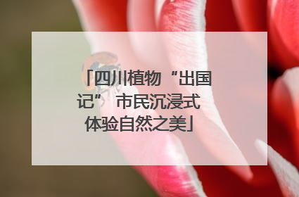 四川植物“出国记” 市民沉浸式体验自然之美
