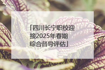 四川长宁职校迎接2025年春期综合督导评估