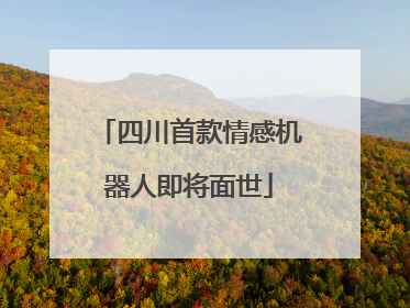 四川首款情感机器人即将面世