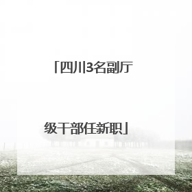 四川3名副厅级干部任新职