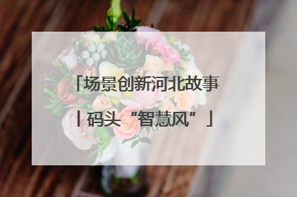 场景创新河北故事丨码头“智慧风”