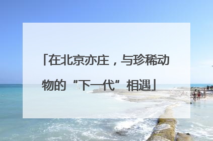 在北京亦庄，与珍稀动物的“下一代”相遇