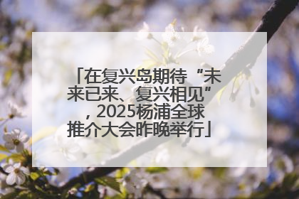 在复兴岛期待“未来已来、复兴相见”，2025杨浦全球推介大会昨晚举行
