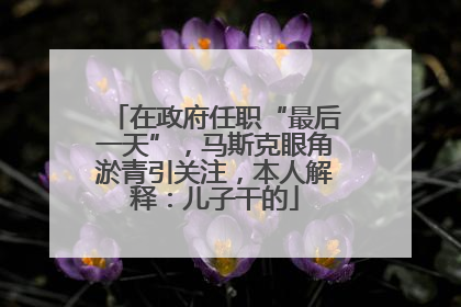 在政府任职“最后一天”，马斯克眼角淤青引关注，本人解释：儿子干的