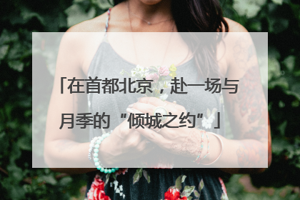 在首都北京，赴一场与月季的“倾城之约”