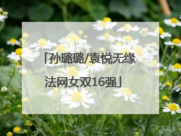 孙璐璐/袁悦无缘法网女双16强