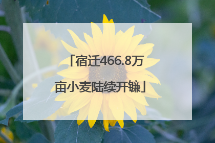 宿迁466.8万亩小麦陆续开镰